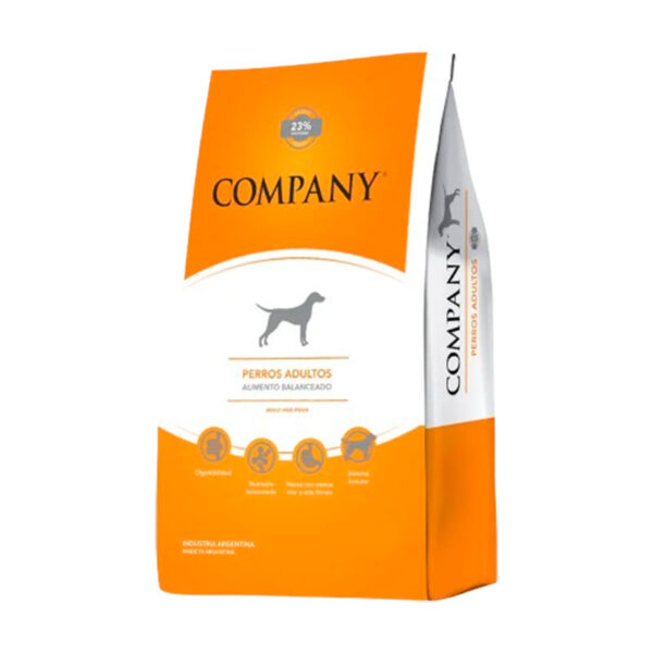 Company